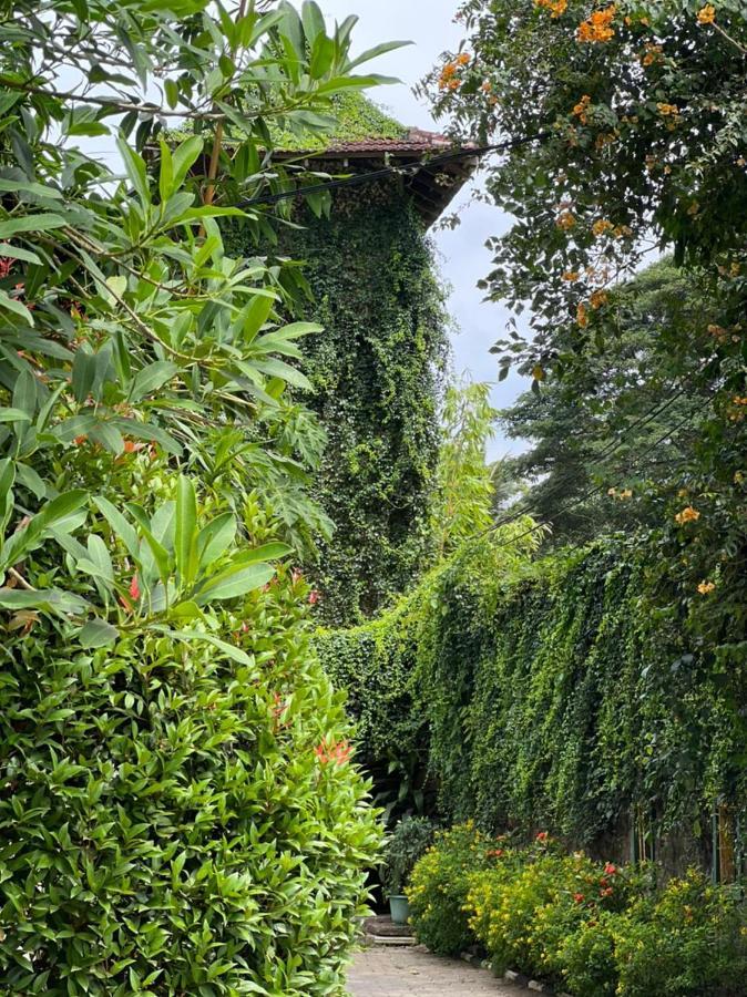 Udf Nature Villa แคนดี้ ภายนอก รูปภาพ