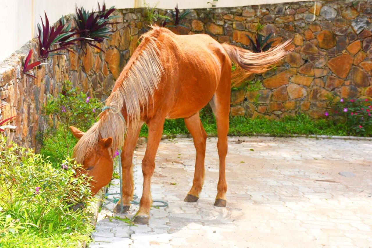 Udf Nature Villa แคนดี้ ภายนอก รูปภาพ